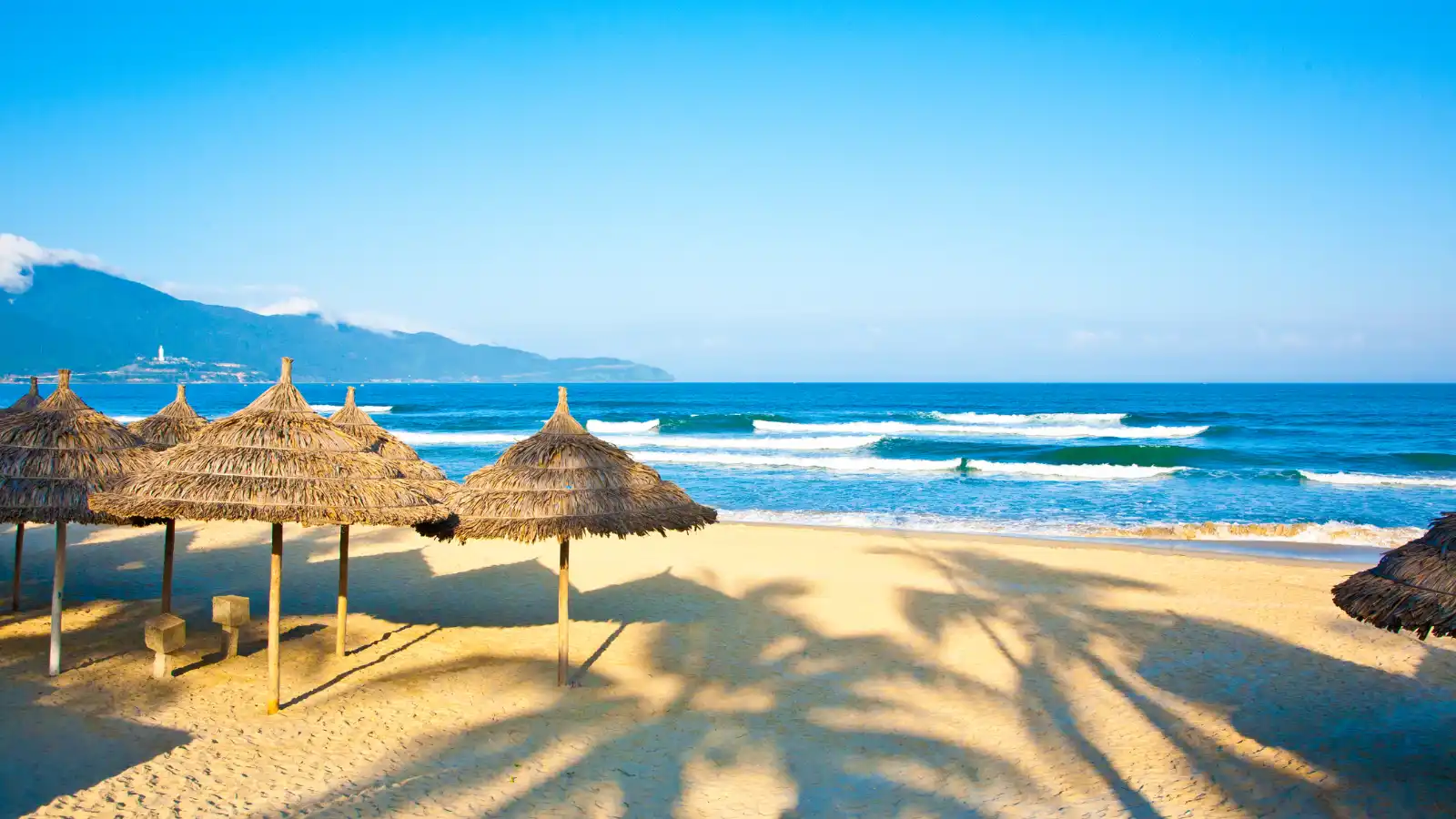 Hair Transplant Recovery in Vietnam: What to Expect & When to Fly Home